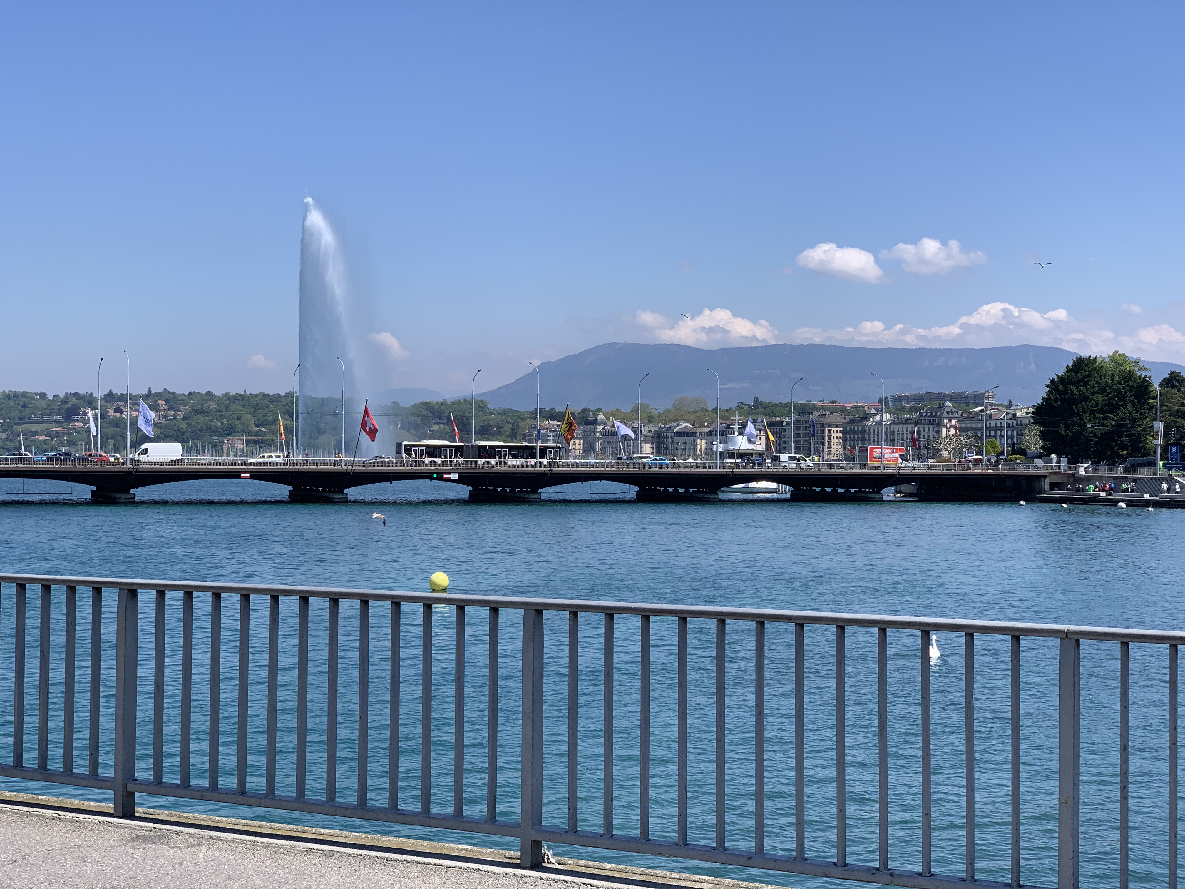 Lake Geneva shoreline